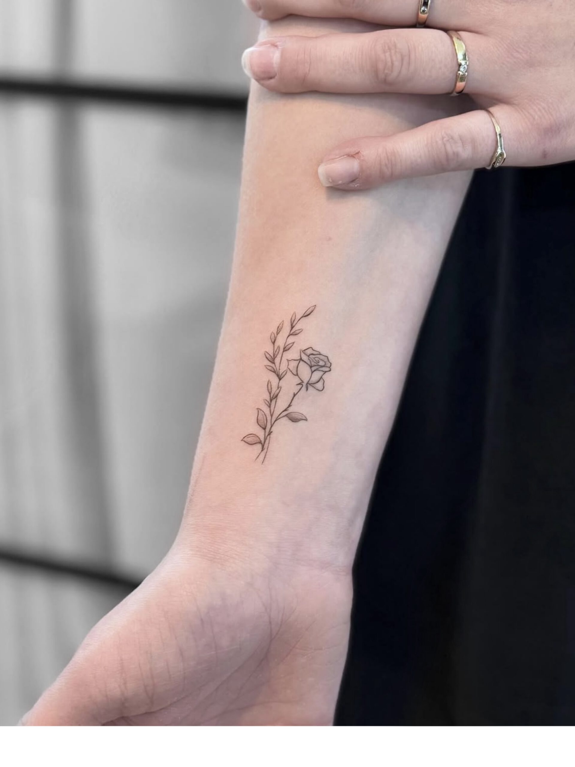 Fine Line Rosen-Tattoo mit Blättern am Unterarm in Berlin-Charlottenburg