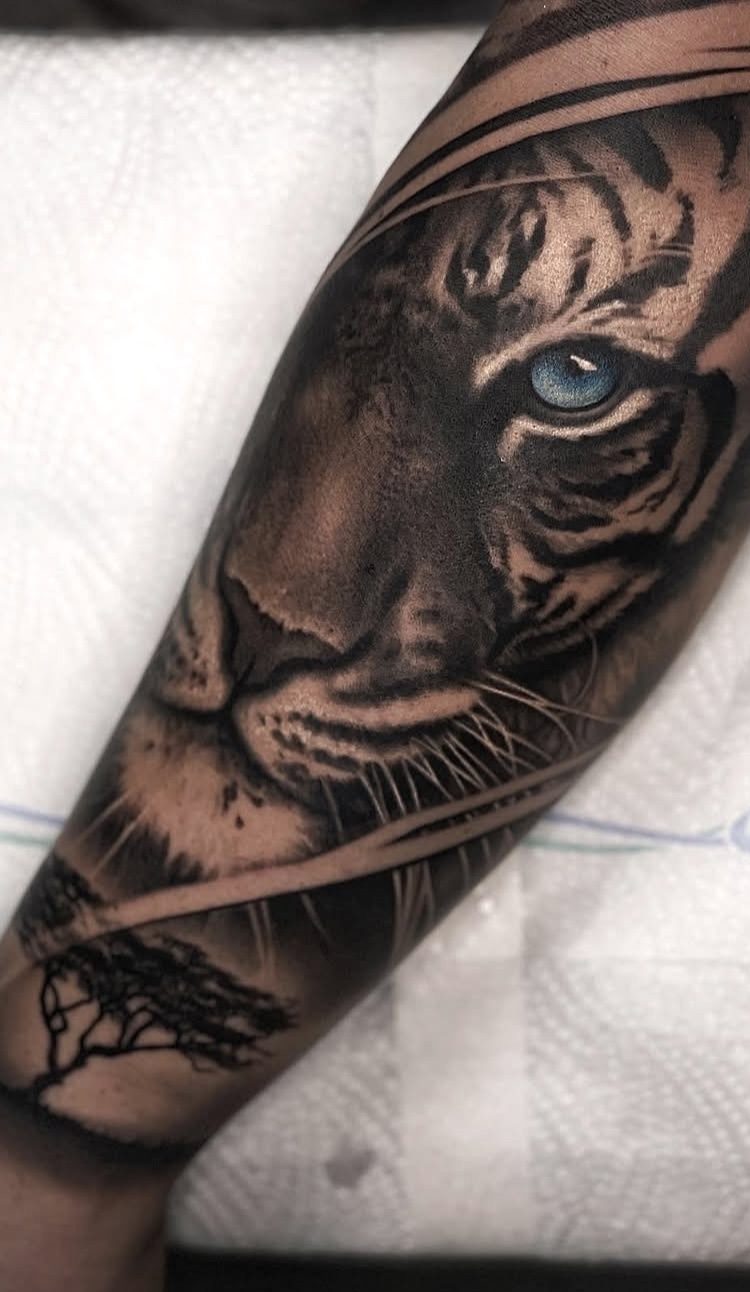 Realistisches Tiger Tattoo am Arm, gestochen in Berlin Schöneberg